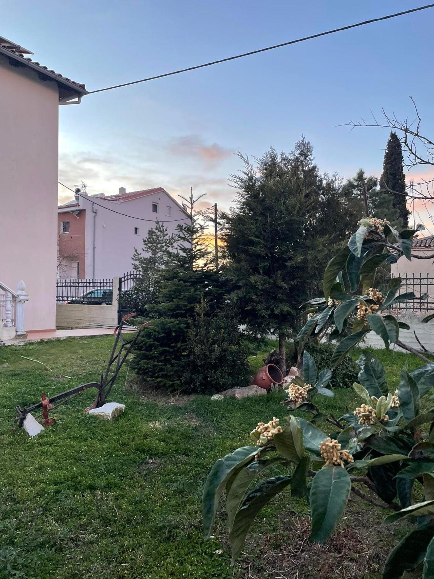クサンチAthina'S Houseアパートメント エクステリア 写真
